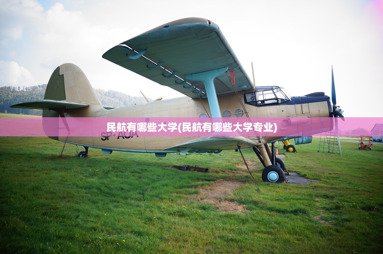 民航有哪些大学(民航有哪些大学专业)