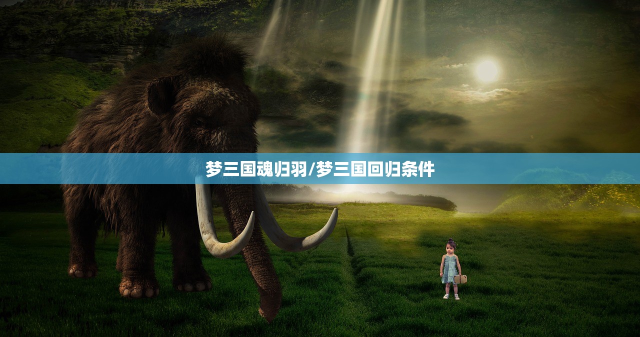 梦三国魂归羽/梦三国回归条件