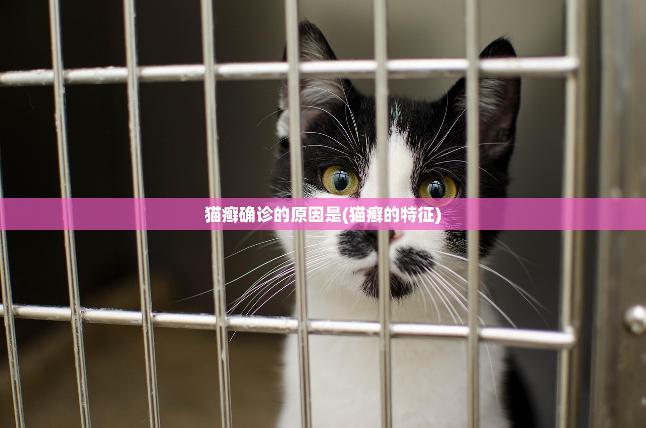 猫癣确诊的原因是(猫癣的特征)