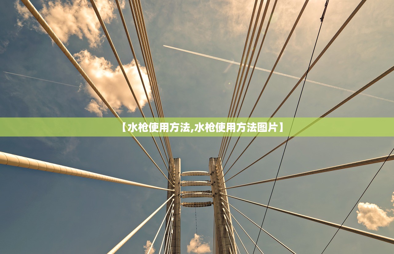 【水枪使用方法,水枪使用方法图片】