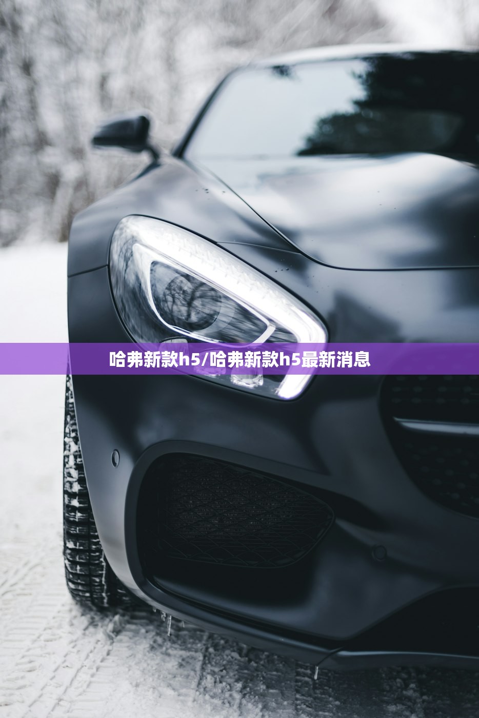 哈弗新款h5/哈弗新款h5最新消息 哈弗新款h5/哈弗新款h5最新消息