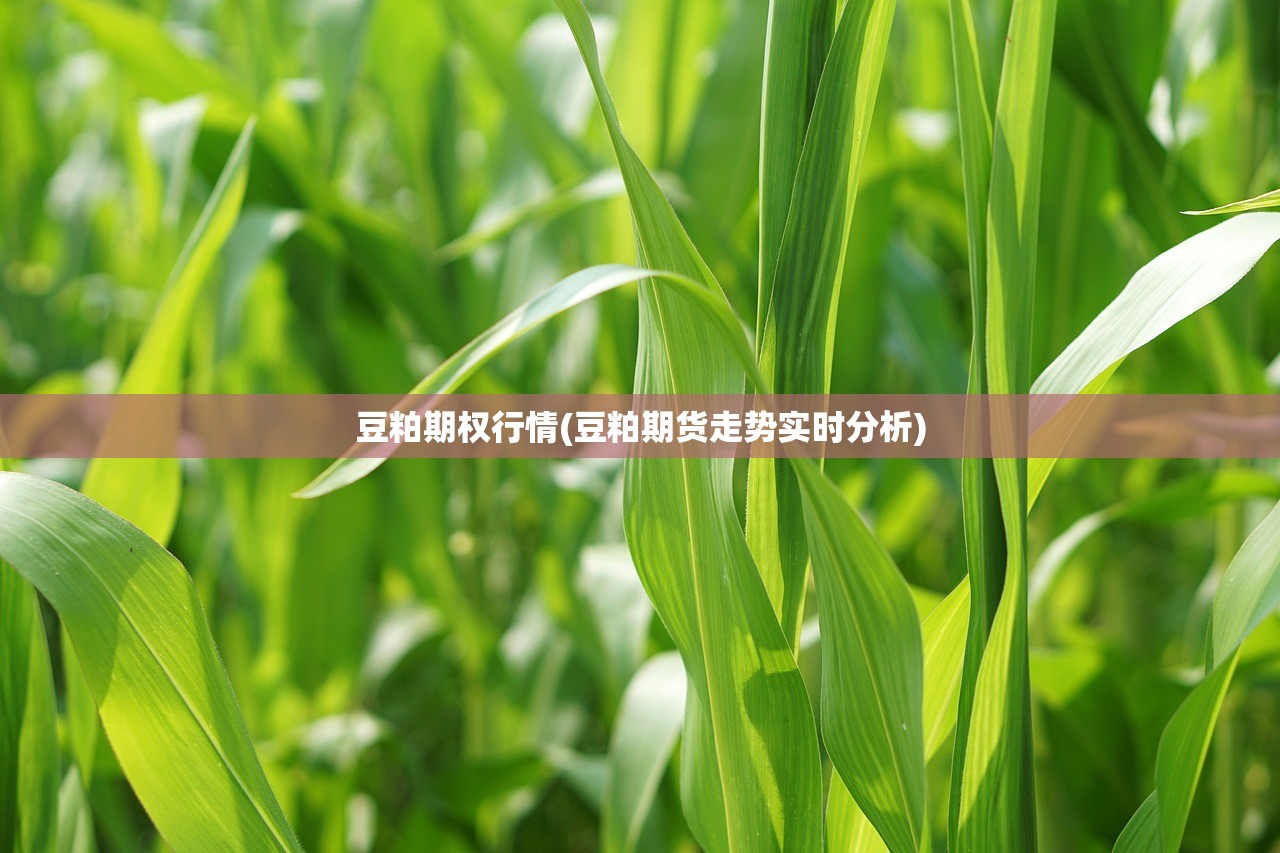 豆粕期权行情(豆粕期货走势实时分析)