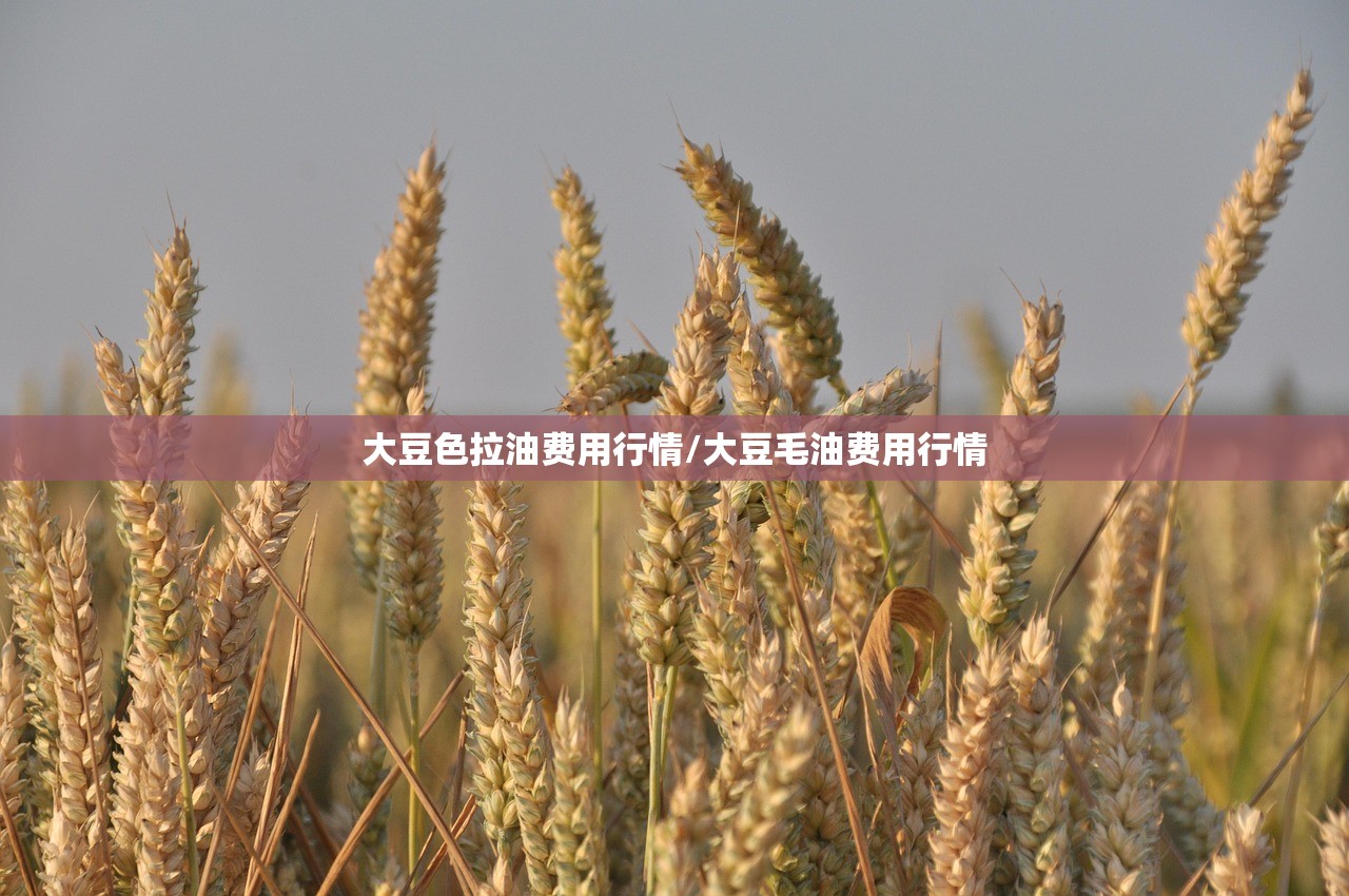 大豆色拉油费用行情/大豆毛油费用行情