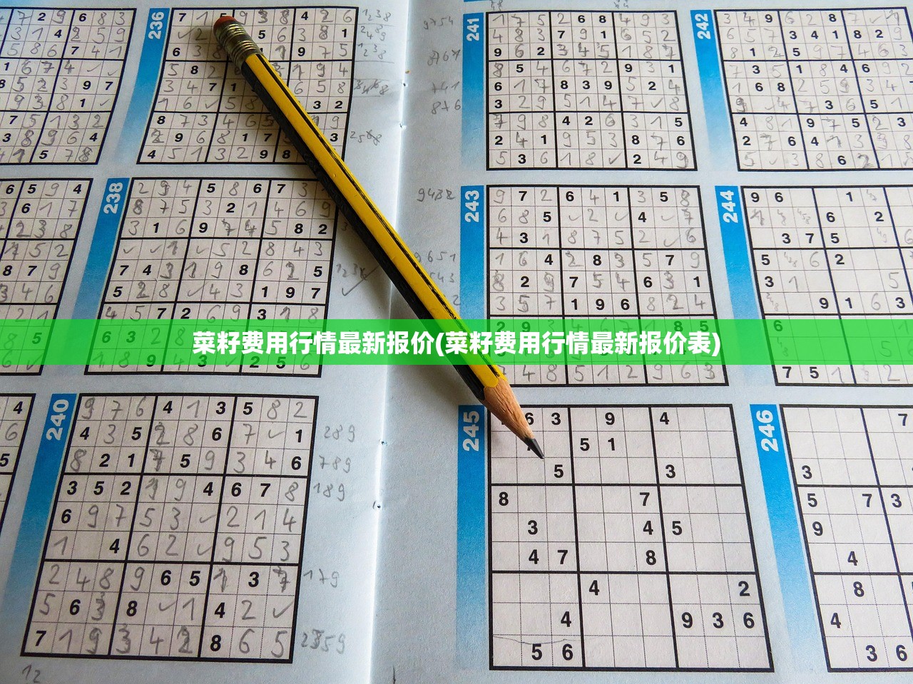 菜籽费用行情最新报价(菜籽费用行情最新报价表)