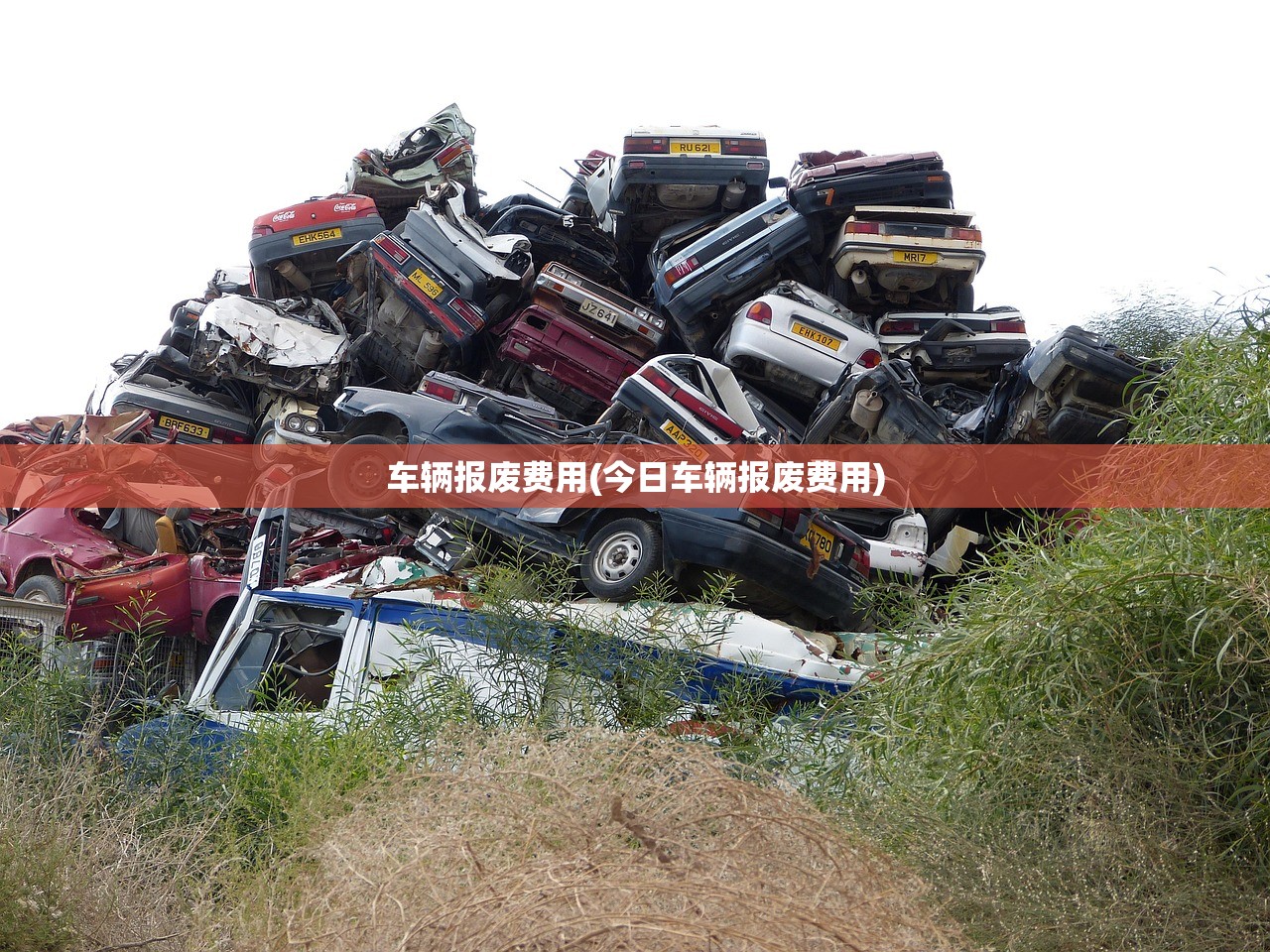 车辆报废费用(今日车辆报废费用)