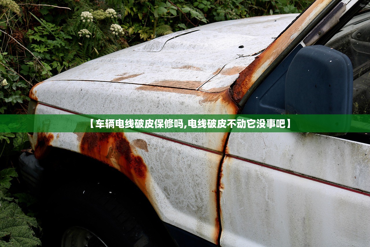 【车辆电线破皮保修吗,电线破皮不动它没事吧】