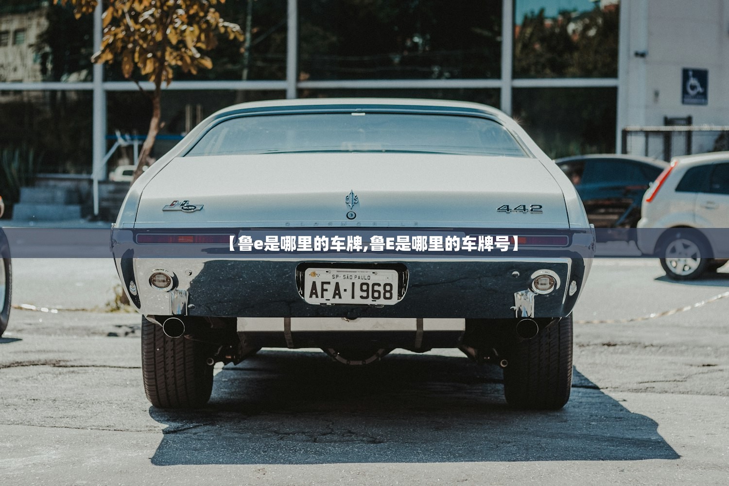【鲁e是哪里的车牌,鲁E是哪里的车牌号】 【鲁e是哪里的车牌,鲁E是哪里的车牌号】