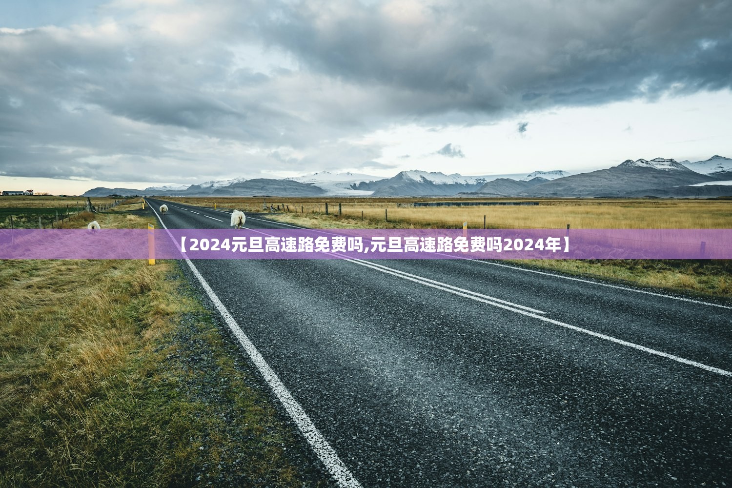 【2024元旦高速路免费吗,元旦高速路免费吗2024年】 【2024元旦高速路免费吗,元旦高速路免费吗2024年】