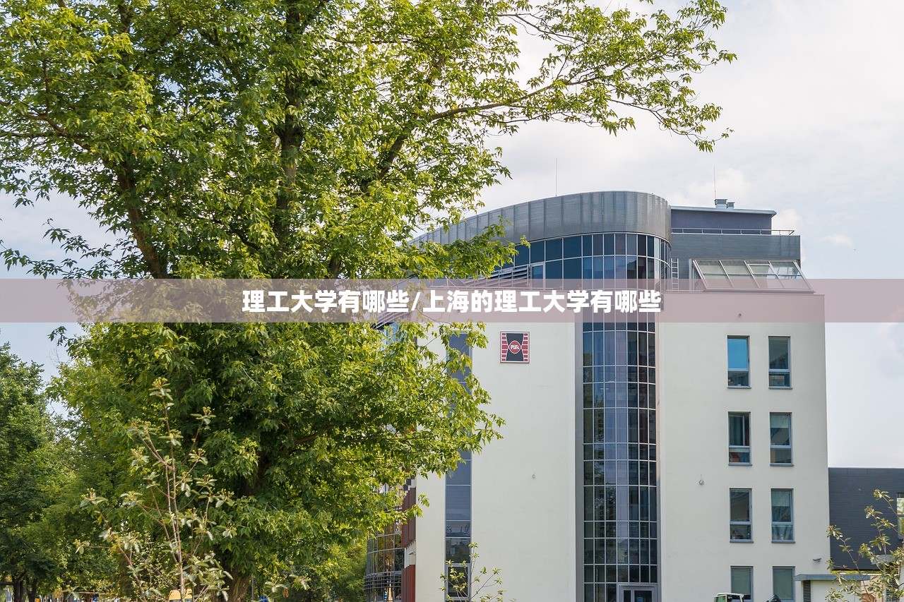 理工大学有哪些/上海的理工大学有哪些 理工大学有哪些/上海的理工大学有哪些