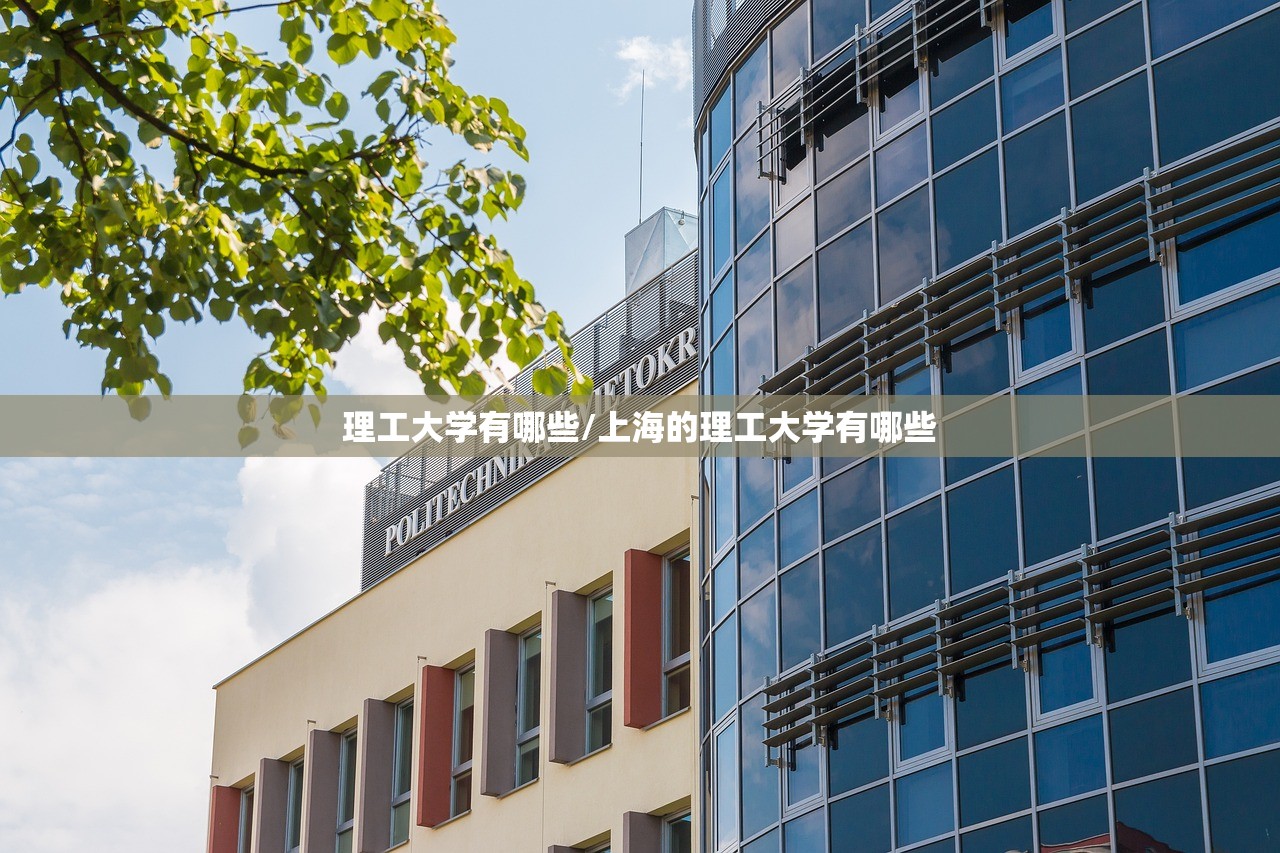 理工大学有哪些/上海的理工大学有哪些 理工大学有哪些/上海的理工大学有哪些