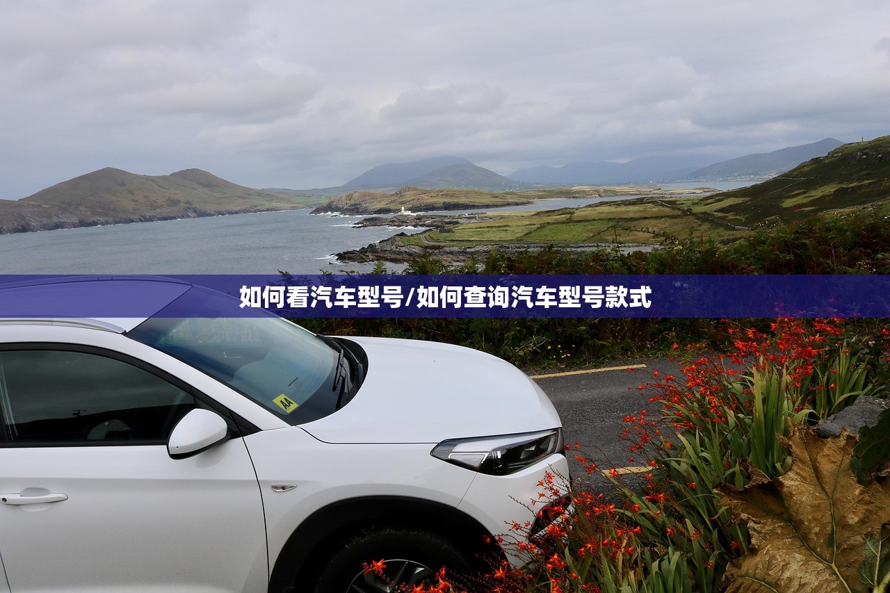 如何看汽车型号/如何查询汽车型号款式 如何看汽车型号/如何查询汽车型号款式