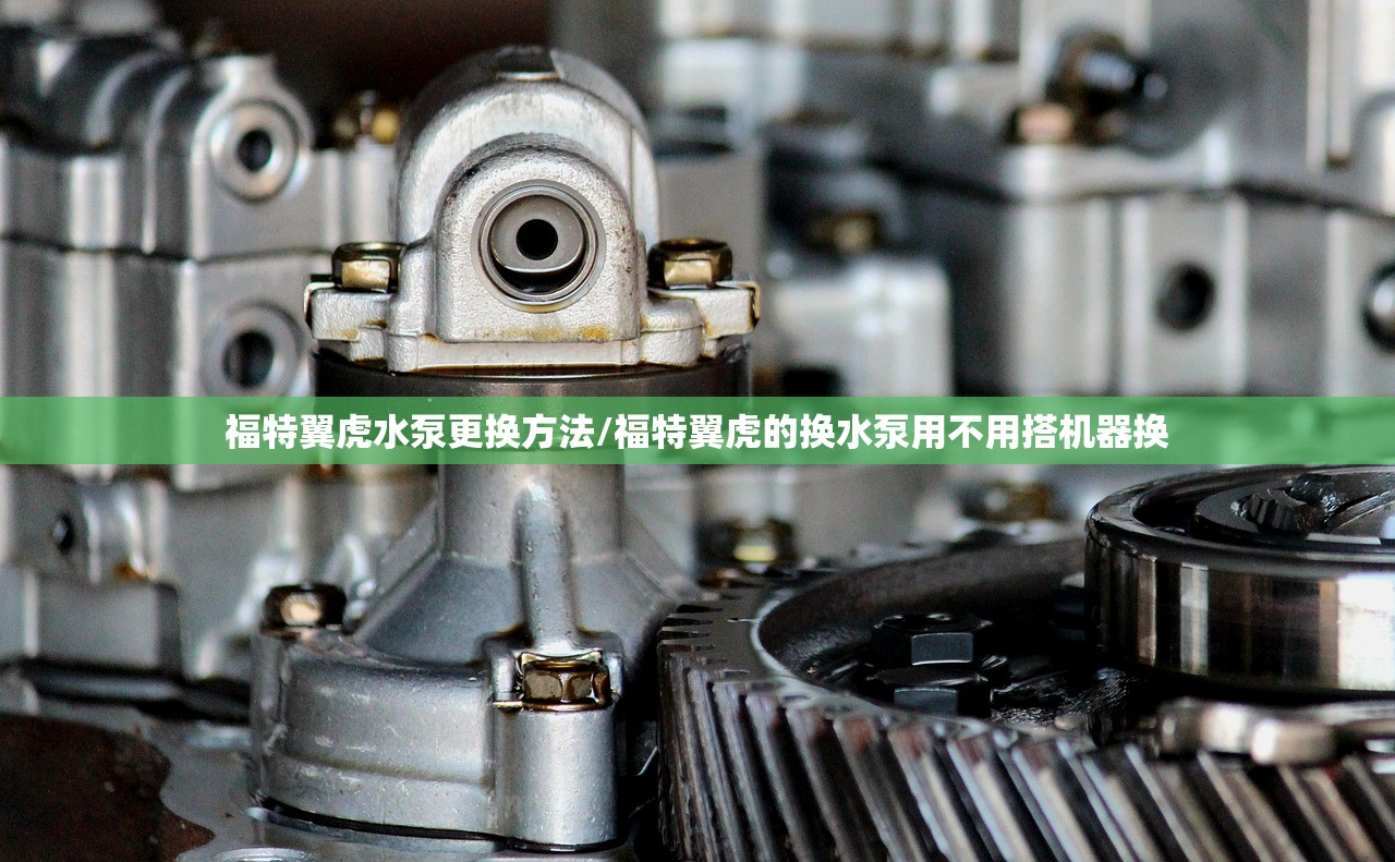 福特翼虎水泵更换方法/福特翼虎的换水泵用不用搭机器换 福特翼虎水泵更换方法/福特翼虎的换水泵用不用搭机器换