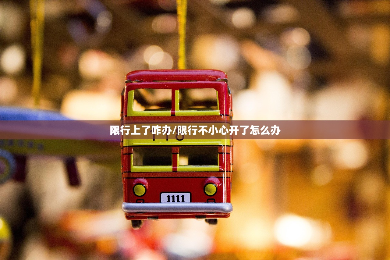限行上了咋办/限行不小心开了怎么办