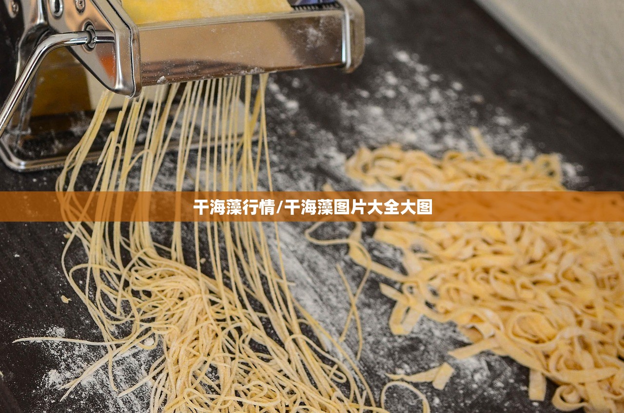 干海藻行情/干海藻图片大全大图 干海藻行情/干海藻图片大全大图