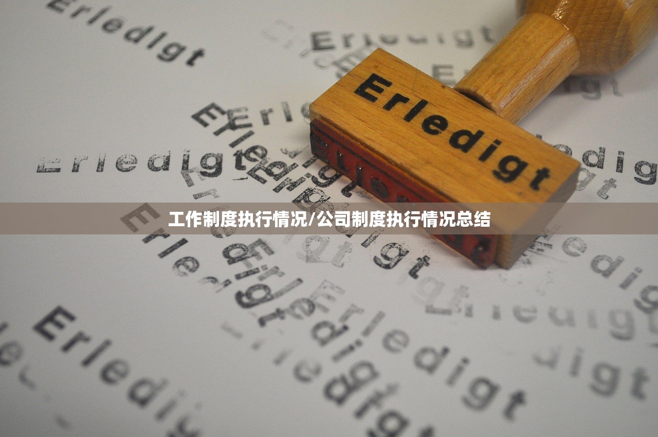 工作制度执行情况/公司制度执行情况总结