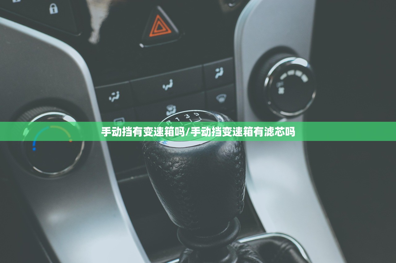 手动挡有变速箱吗/手动挡变速箱有滤芯吗 手动挡有变速箱吗/手动挡变速箱有滤芯吗