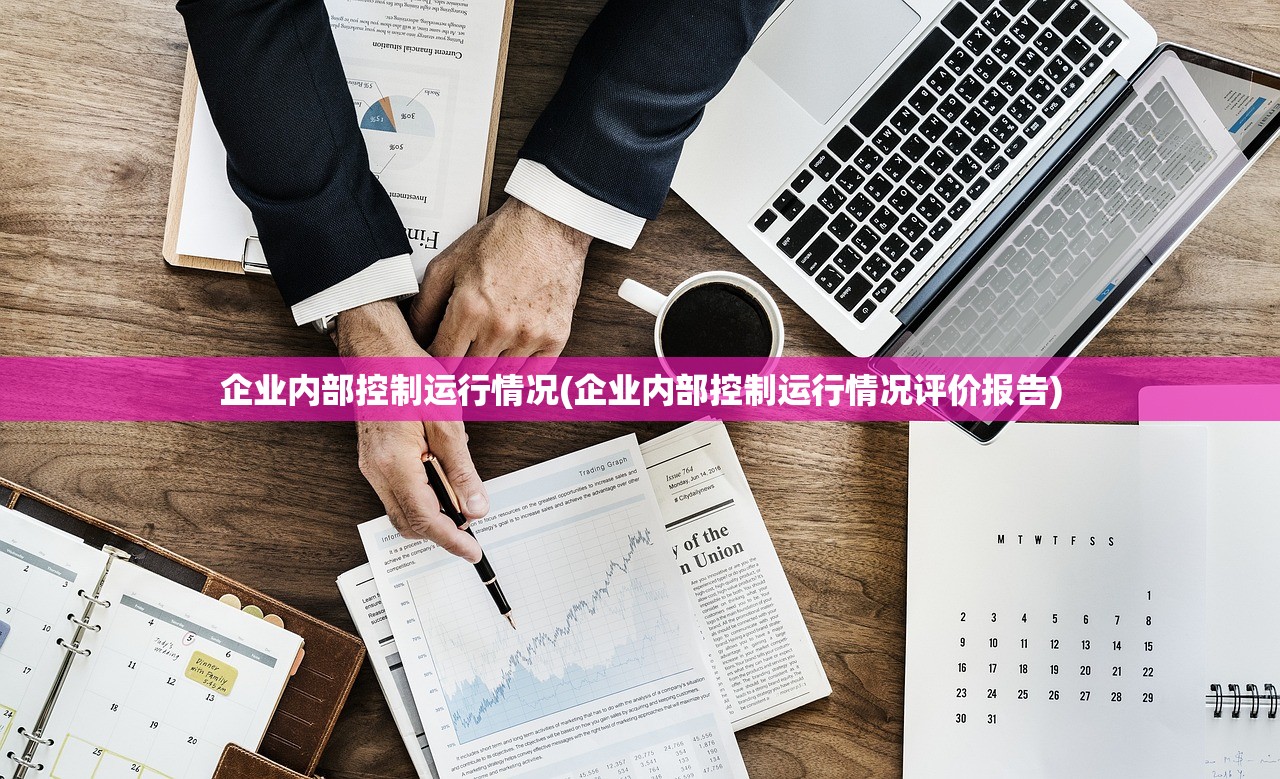 企业内部控制运行情况(企业内部控制运行情况评价报告)