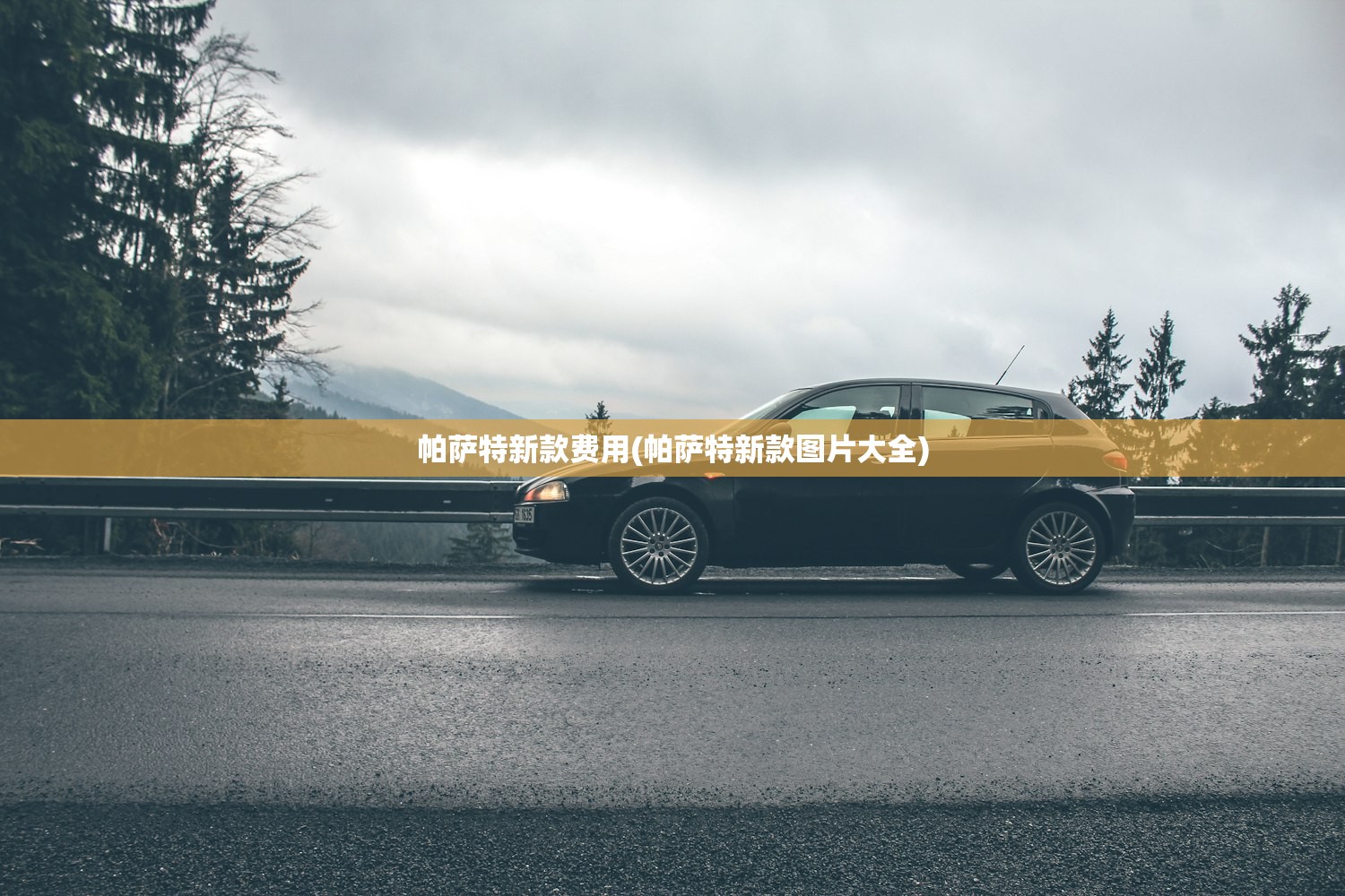 帕萨特新款费用(帕萨特新款图片大全)