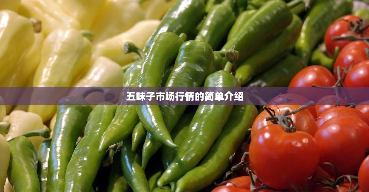 五味子市场行情的简单介绍