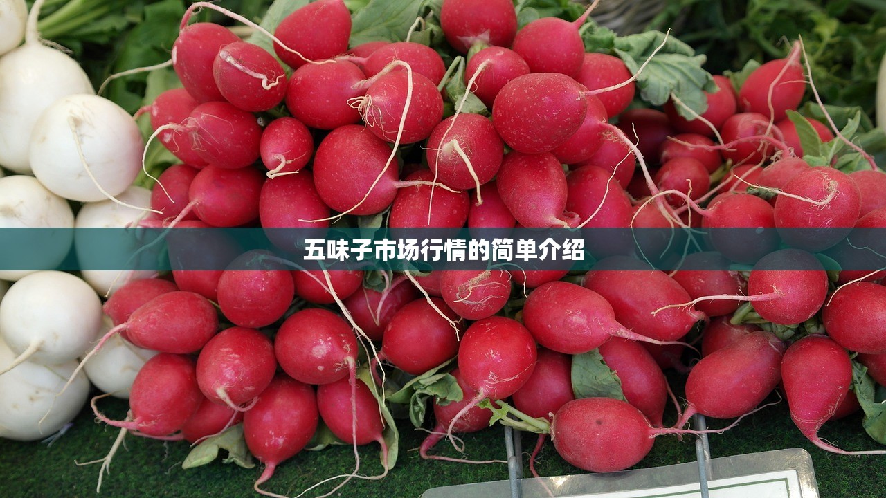 五味子市场行情的简单介绍