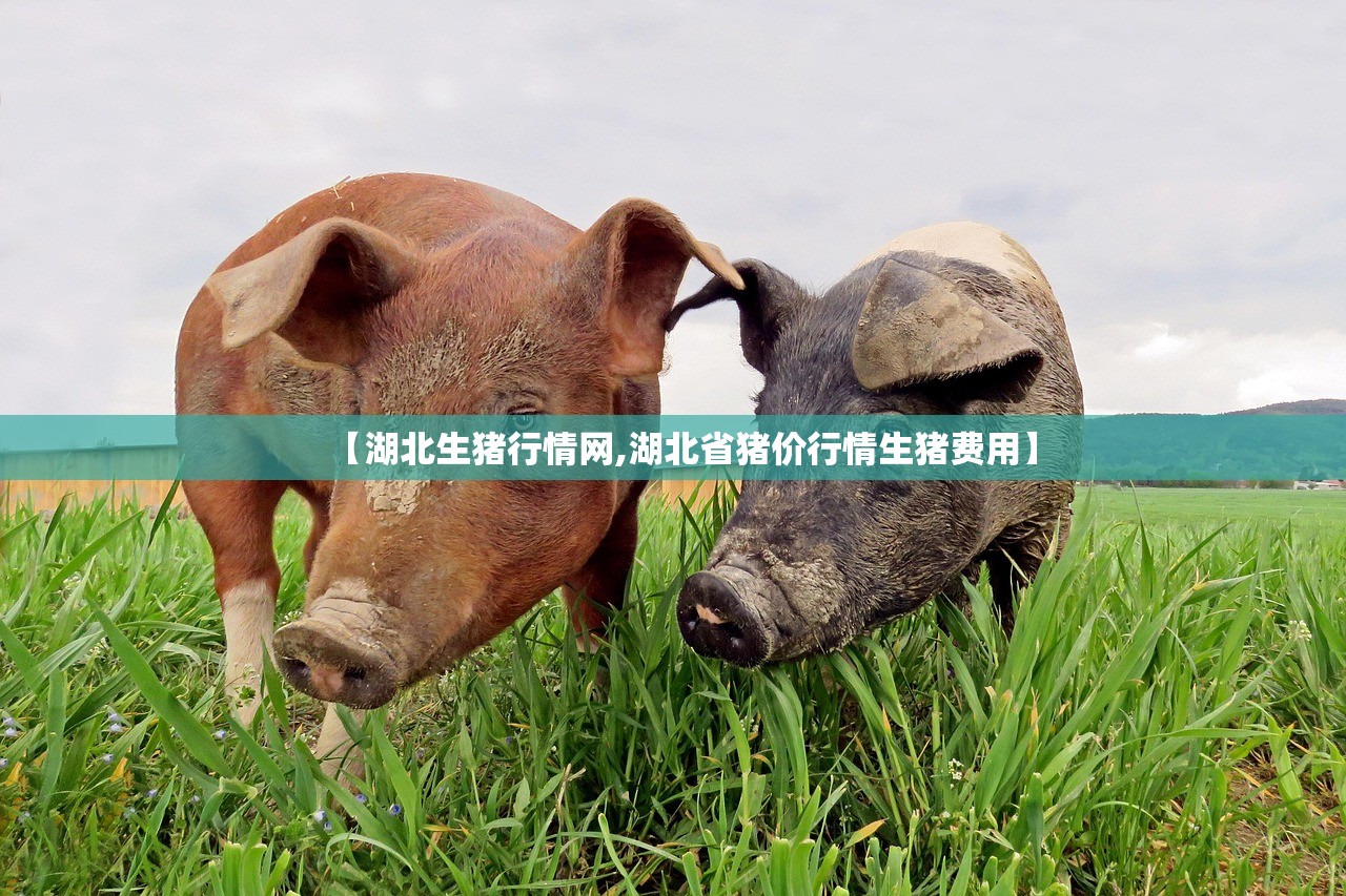 【湖北生猪行情网,湖北省猪价行情生猪费用】