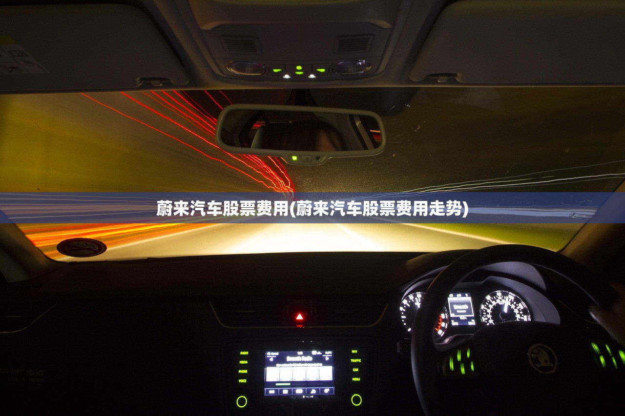 蔚来汽车股票费用(蔚来汽车股票费用走势)