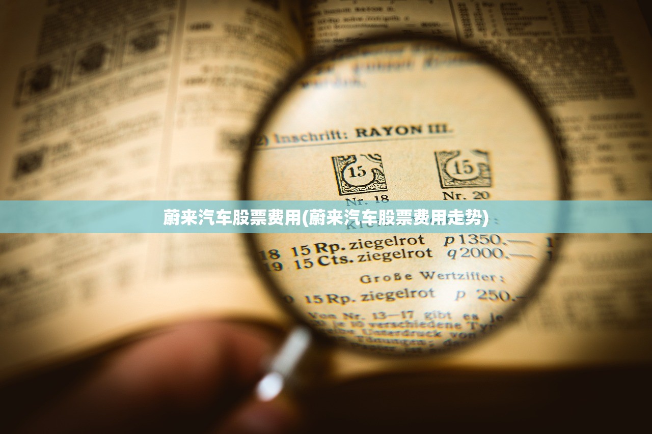 蔚来汽车股票费用(蔚来汽车股票费用走势)