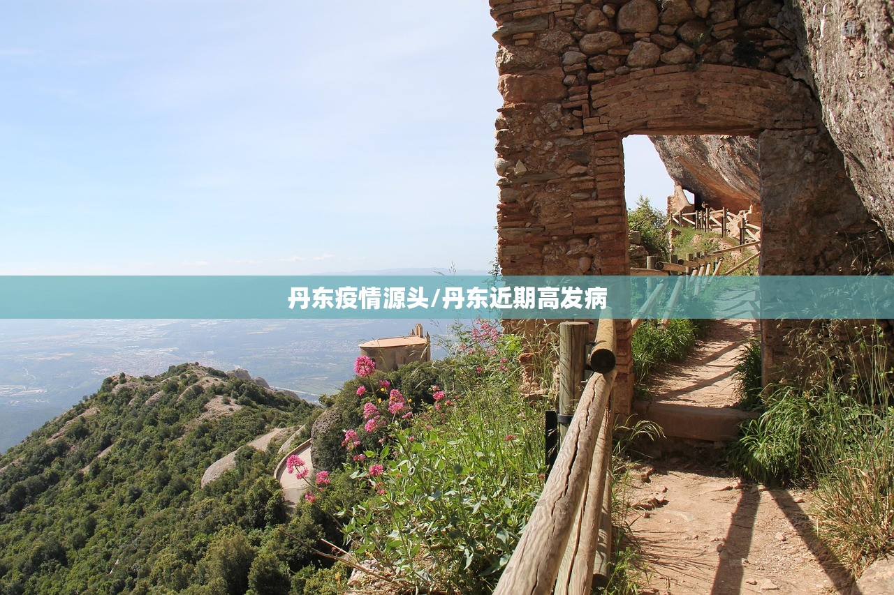 丹东疫情源头/丹东近期高发病