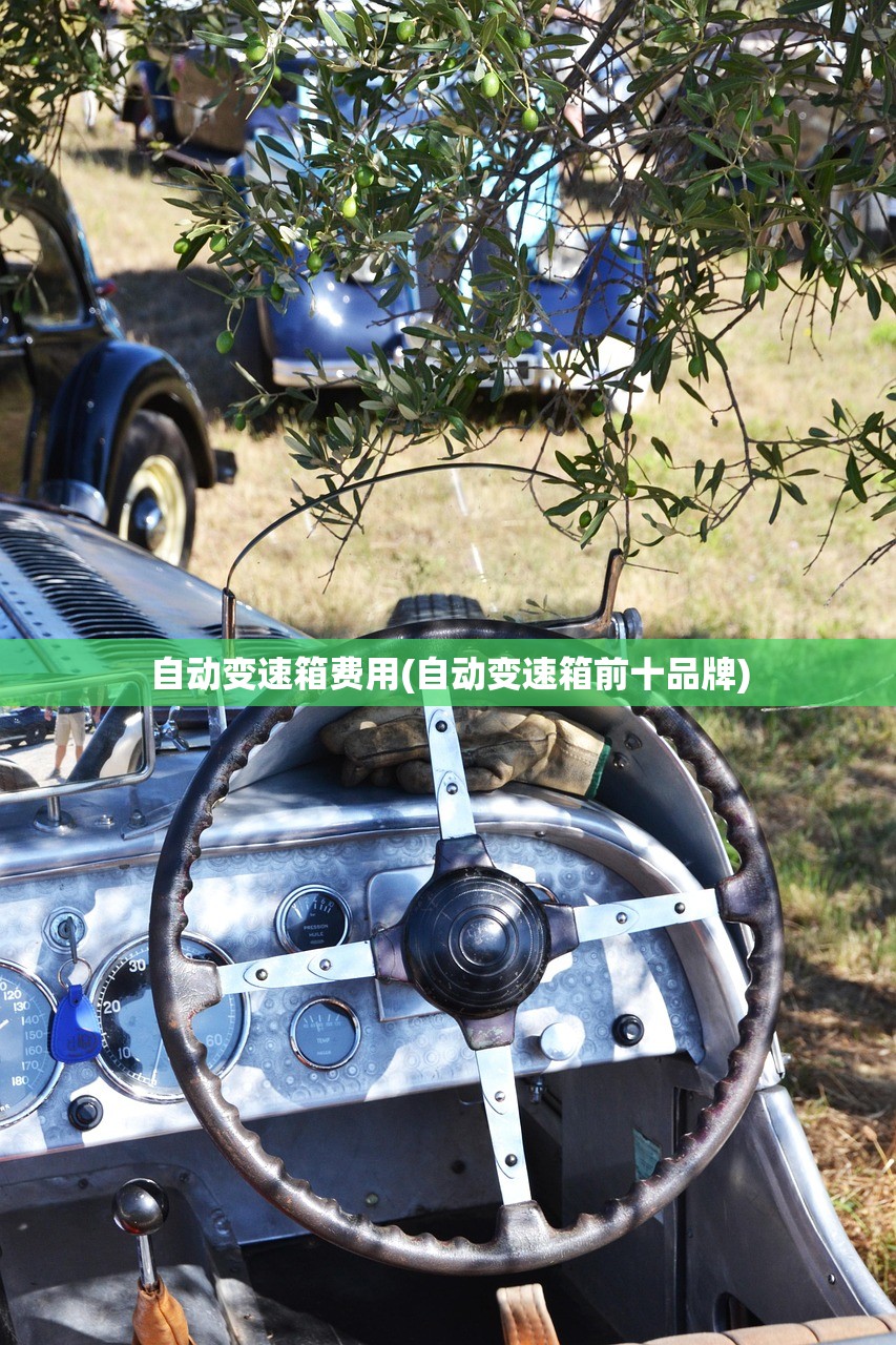自动变速箱费用(自动变速箱前十品牌)