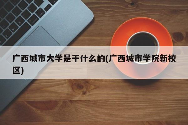 广西城市大学是干什么的(广西城市学院新校区)