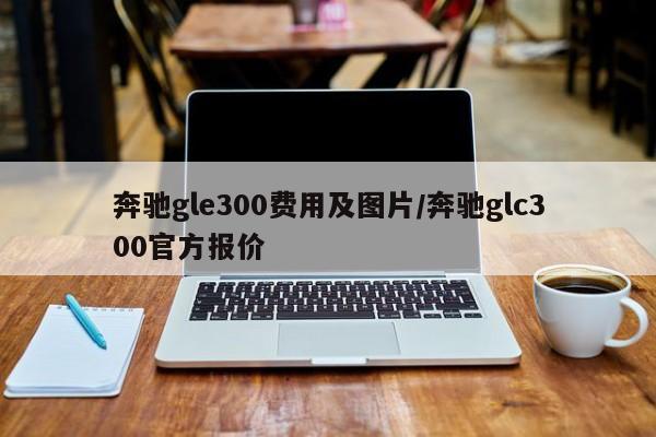 奔驰gle300费用及图片/奔驰glc300官方报价