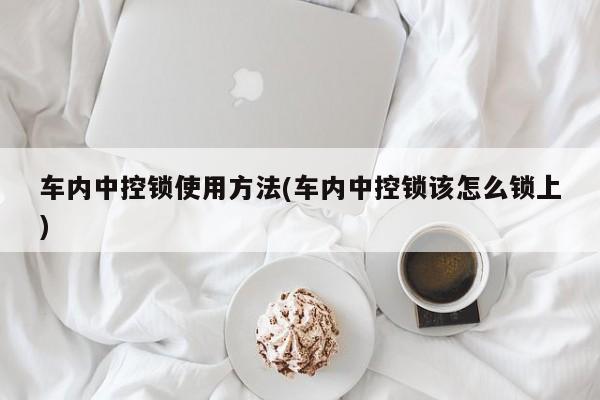 车内中控锁使用方法(车内中控锁该怎么锁上)