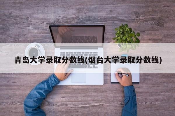 青岛大学录取分数线(烟台大学录取分数线)
