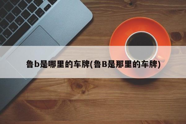 鲁b是哪里的车牌(鲁B是那里的车牌)