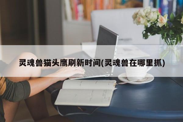 灵魂兽猫头鹰刷新时间(灵魂兽在哪里抓)