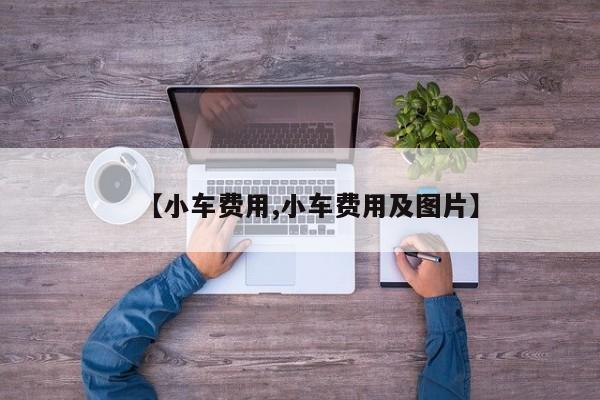 【小车费用,小车费用及图片】