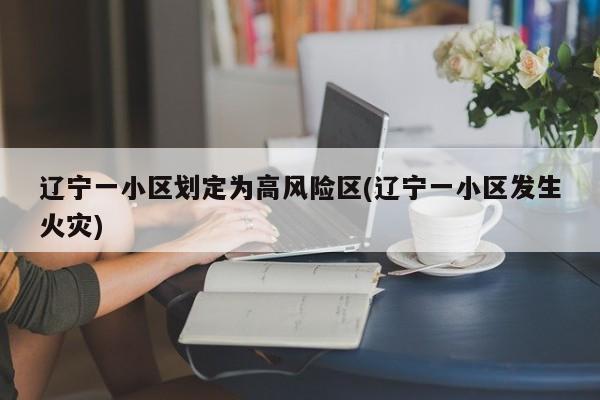辽宁一小区划定为高风险区(辽宁一小区发生火灾)