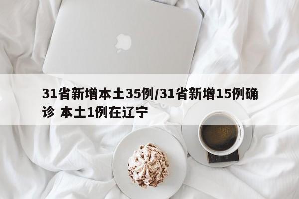 31省新增本土35例/31省新增15例确诊 本土1例在辽宁